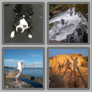 a screenshot showing 2 rows, each containing 2 images; the images have grey rounded borders, and the background is a lighter grey